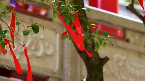 Red prayer ribbons fluttering on tree branches at a traditional temple garden Stock Footage 342209654