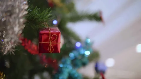Red present ornament hangs on festive evergreen christmas tree Video stock 333114247