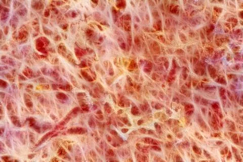 Red prints and plexus on the surface of the paper, Watermark Foto stock