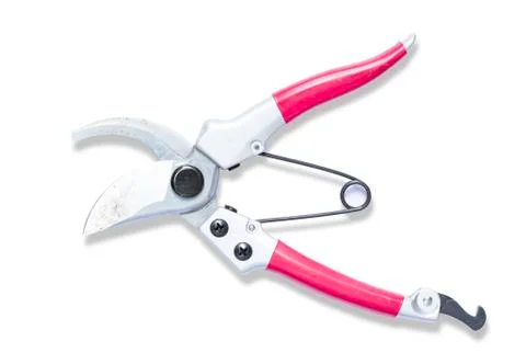 Red pruner isolated on white background Foto stock
