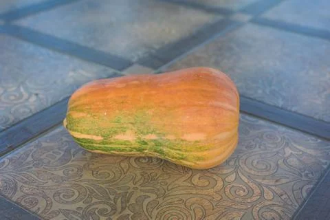 Red pumpkin lying on the tile floor Stock Photos