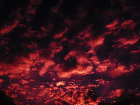 Red purple pink sunset sky cloud. Dramatic sunset sky. Wonderful sunset. Clou Stock Photos