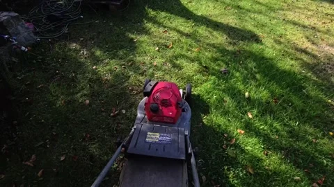 Red Push Lawnmower Mowing Backyard Grass in Late Summer Sun Stock Footage 346698775