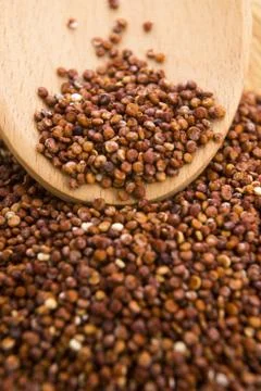 Red Quinoa grain Stock Photos