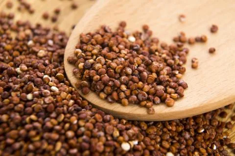 Red Quinoa grain Stock Photos