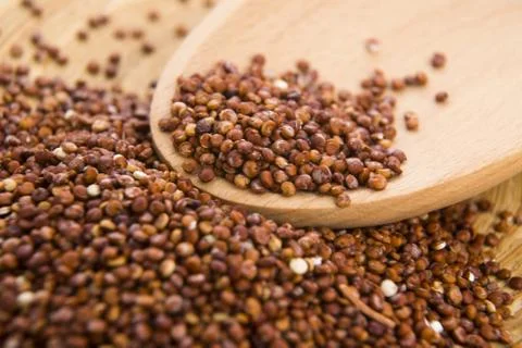 Red Quinoa grain Stock Photos