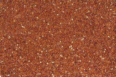 Red Quinoa Stock-Fotos