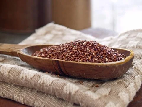Red quinoa Stock Photos