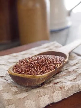 Red quinoa Stock Photos