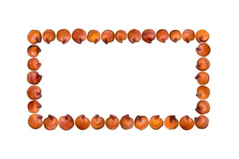 Red quinoa rectangle shape Stock Photos