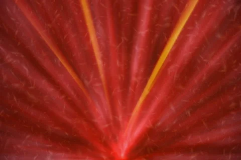 Red Radiating Background Stock Footage 825217