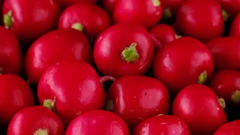 Red radish close up, rotation. Concept of organic vegan food Stock-Footage 194095475