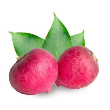Red radish with  isolated on white background Stock Photos