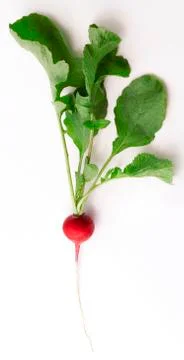 Red radish Stock Photos