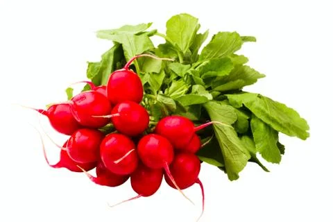 Red radish Stock Photos