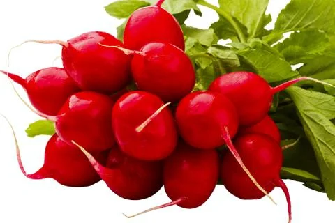 Red radish Stock Photos