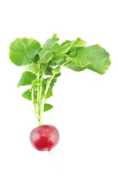 Red radish Stock Photos