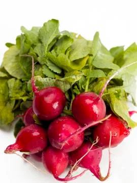 Red radish Stock Photos