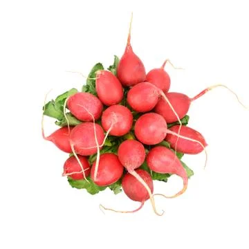 Red radish Stock Photos