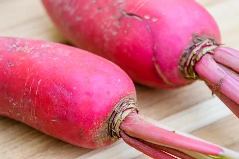 Red radish Stock Photos