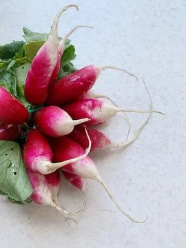 Red radish Stock Photos