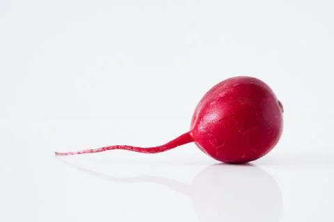 Red radish with root on a white background Stock Photos