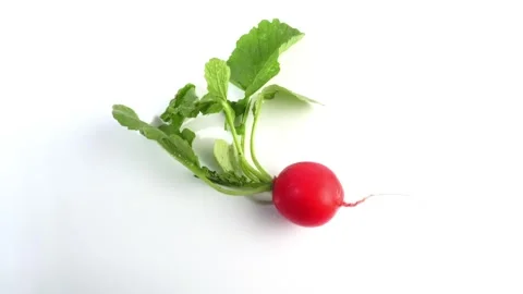 Red Radish rotating on white background Stock Footage 276907302