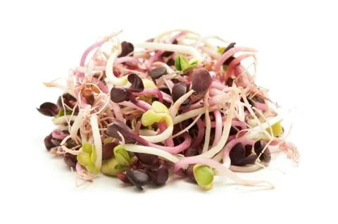 Red radish seeds Stock Photos