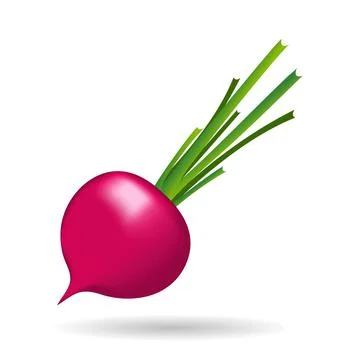Red radish simple Stock Illustration