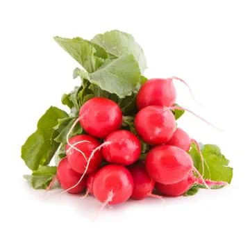 Red radish vegetable Stock Photos