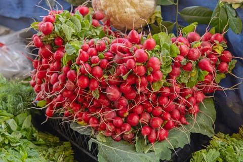 Red Radish Vegetable 스톡 사진