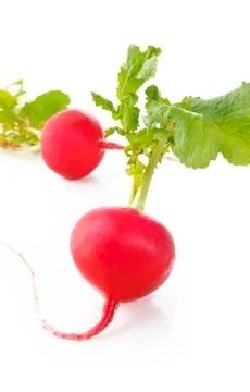 Red radish on white background Stock Photos