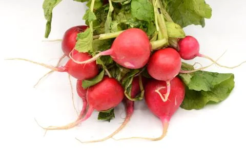 Red Radish on White Background Stock Photos