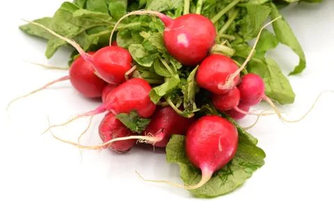 Red Radish on White Background Stock Photos