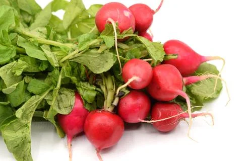 Red Radish on White Background Stock Photos