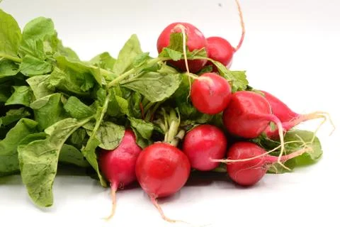 Red Radish on White Background Stock Photos