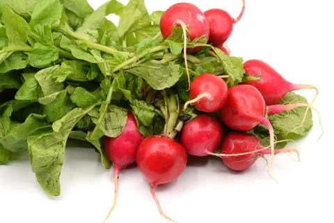 Red Radish on White Background Stock Photos