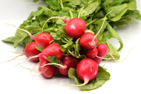 Red Radish on White Background Stock Photos