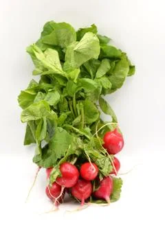 Red Radish on White Background Stock Photos