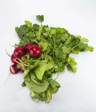 Red Radish on white background Stock Photos