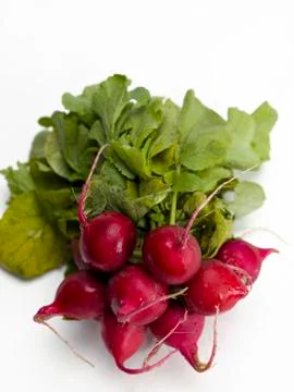 Red radishes Stock Photos