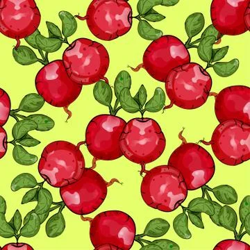 Red radishes Seamless texture Stock Illustration
