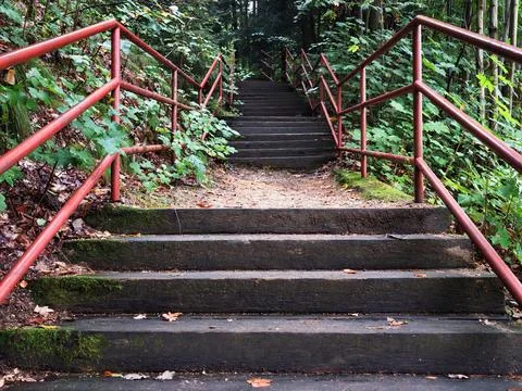 Red railing staircase winds upward through lush forest, mossy steps, sunlit.. Stock Photos