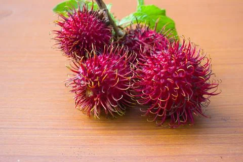 Red rambutan on a brown table background Stock Photos