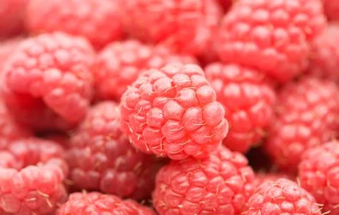 Red raspberries  (background) Stock Photos