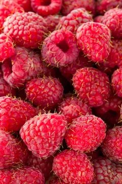 Red raspberries background Stock Photos