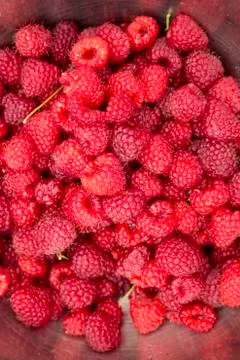 Red raspberries closeup Stock Photos