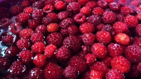 Red raspberries in a cup of water. Stock Footage 112716587