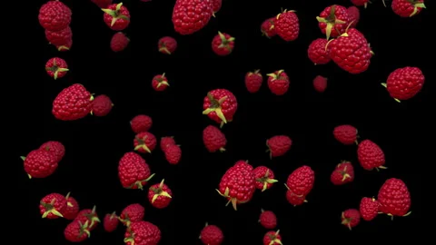 Red Raspberries Falling In Slow Motion. Luma Channel. Stock Footage 279682703