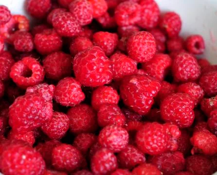 Red raspberries Stock Photos